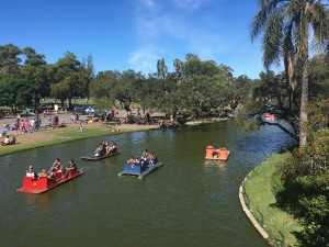 IMG_3249