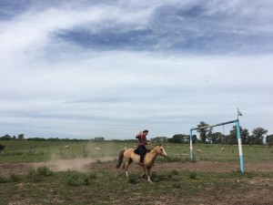 IMG_4050