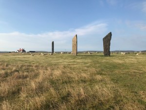 IMG_4441