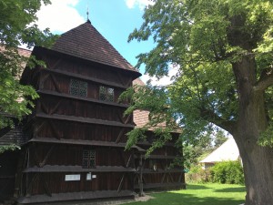 IMG_8185
