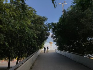 IMG_2993