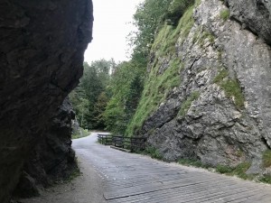 IMG_4742