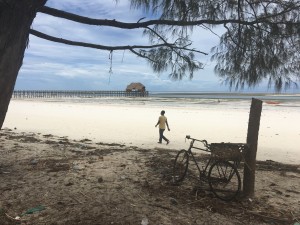 _Kiwengwa beach