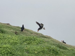 IMG_0190