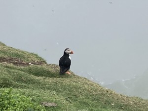IMG_0193