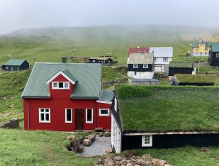 IMG_0222