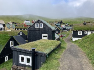 IMG_0223