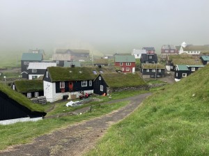 IMG_0224