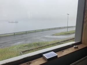 IMG_9690