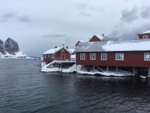 22 IMG_6019