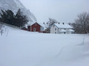 25 IMG_6035