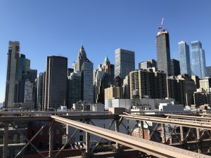 IMG_0647