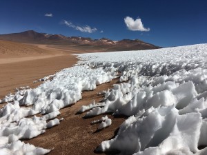 IMG_1573