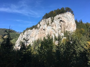 IMG_2394