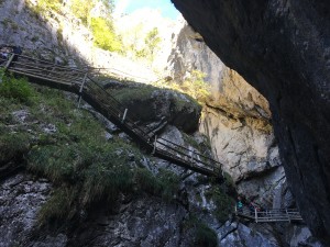 IMG_2399