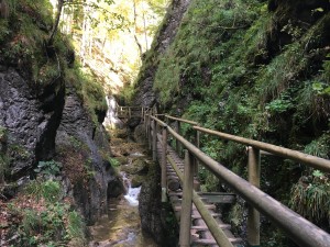 IMG_2403