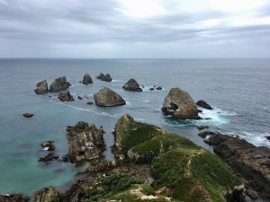 IMG_3851