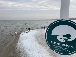 IMG_4963