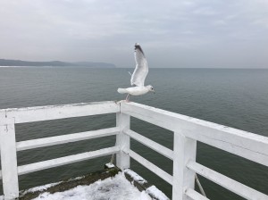 IMG_4976
