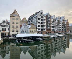 IMG_5010