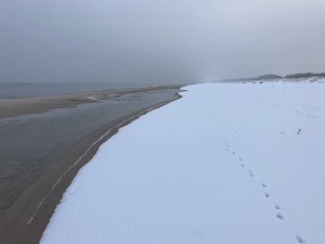 IMG_5073