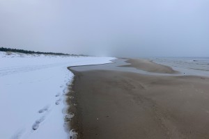 IMG_5084