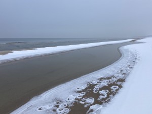 IMG_5088