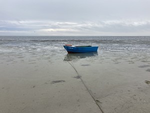 IMG_5169