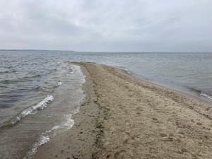 IMG_5191