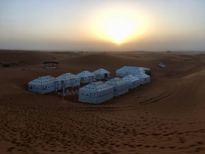 IMG_6457