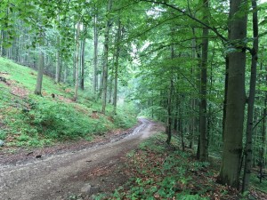 IMG_9608