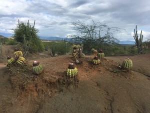 tatacoa_IMG_9327