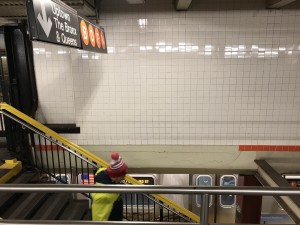 IMG_0245