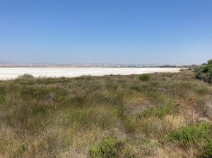 IMG_8662