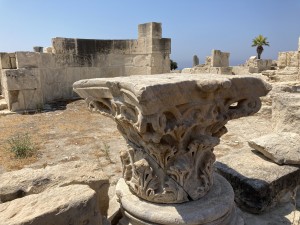 IMG_8743