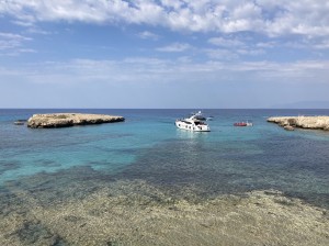 IMG_8955