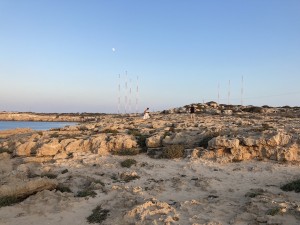 IMG_9048
