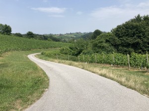 IMG_9260