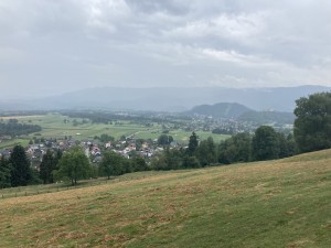 IMG_9331