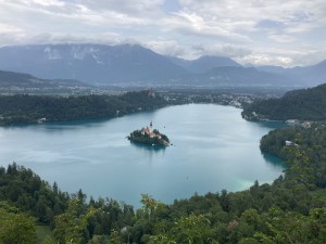 IMG_9343