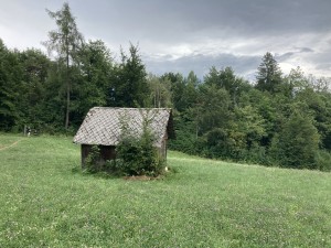 IMG_9350