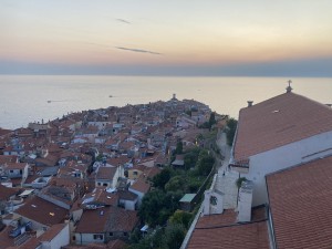 IMG_9572