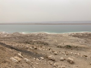 IMG_8744