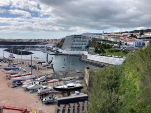 IMG_9525