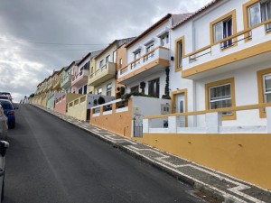 IMG_9531